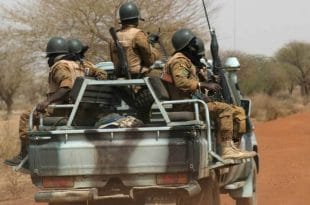 Malian troops