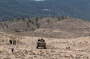 Tunisian soldiers