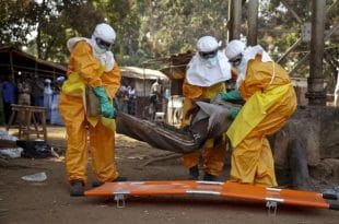 ebola case