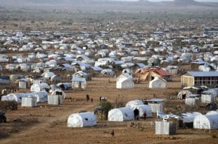 refugee_camp_tigray