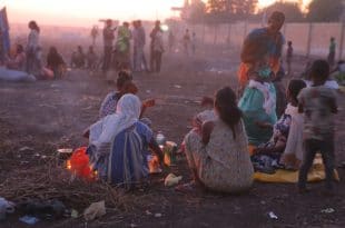 tigray situation