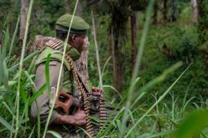 At least ten killed in a militia attack in DRC