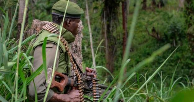 At least ten killed in a militia attack in DRC