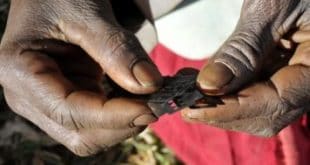 Kenya's high court upholds female genital mutilation ban
