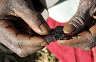 Kenya's high court upholds female genital mutilation ban