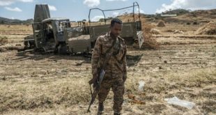 Rights group calls for investigation into war crimes in Tigray