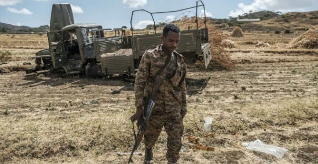 Rights group calls for investigation into war crimes in Tigray