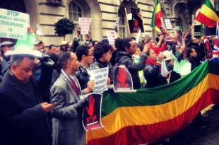 Ethiopians demonstrate against migrant abuse in Saudi Arabia