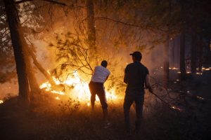 Northern Morocco also affected by wildfires after Algeria