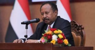 Sudan probing violations against protesters - PM