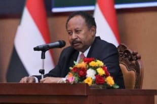 Sudan probing violations against protesters - PM