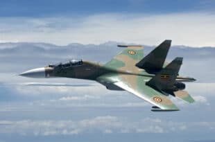 Uganda launches air strikes against rebel group ADF