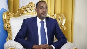 Somalia: PM discusses political situation with U.S. official