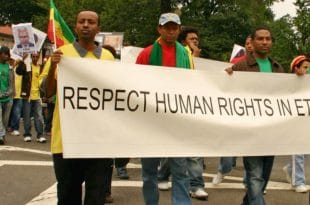 UN orders investigation into human rights violations in Ethiopia