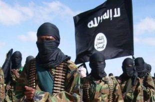 Mozambique: at least 600 women and girls abducted by jihadists