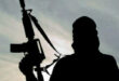 27 farmers killed in fresh Plateau attack