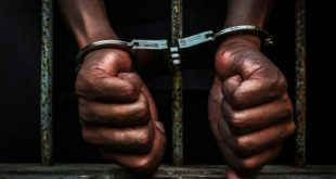 dozens of inmates escape from prison in DR Congo