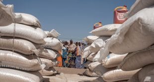 food aid banned for displaced people in Borno state