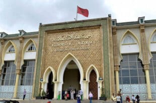 Morocco: lecturer jailed over sex for grades