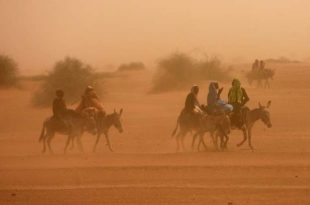 Sudan: over 15 000 displaced in Darfur violence
