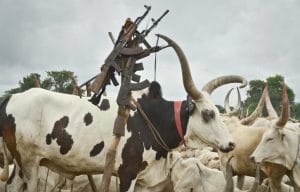 UN condemns deadly cattle raids in South Sudan