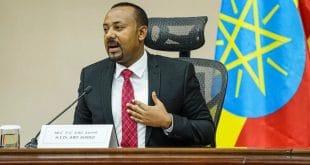 Ethiopia: PM Abiy calls on diaspora to return back in January