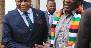 Zimbabwe: President hands power to Vice President for three weeks