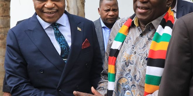 Zimbabwe: President hands power to Vice President for three weeks
