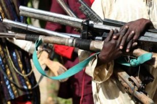 Nigeria: armed gangs declared terrorist groups