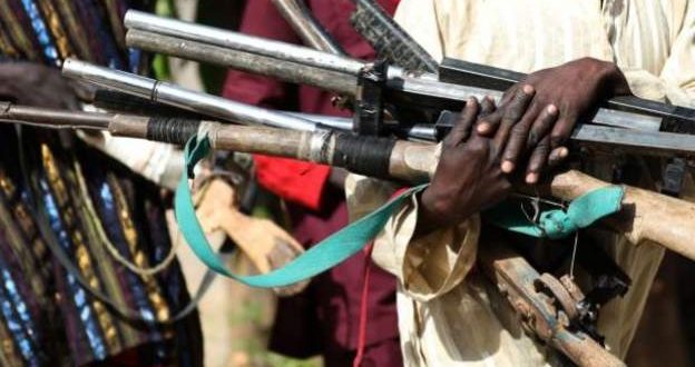 Nigeria: armed gangs declared terrorist groups