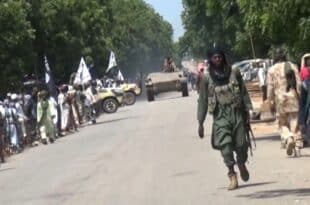 Nigeria: Villagers killed by Islamist militants in the northeast