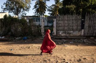 Mozambique: displaced people to return home by June
