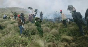 Kenya: 600 hectares of national park destroyed by fire