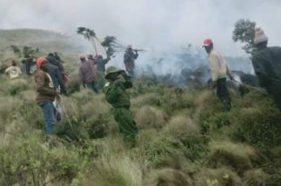 Kenya: 600 hectares of national park destroyed by fire