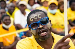 Zimbabwe: dozens of opposition militants detained