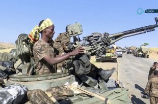 Ethiopia: federal troops accused of being behind Oromia massacre