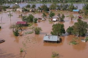 Mozambique: dozens rescued from flooded river