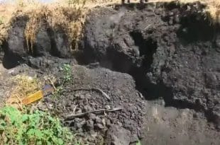 Ethiopia: several bodies found in mass grave