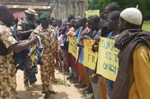 Hundreds of jihadists surrender in Nigeria - army