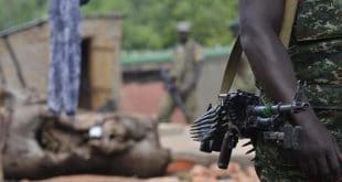 DR Congo: several killed in militia attack in the east