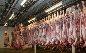 Mozambique imposes partial ban on meat import from South Africa