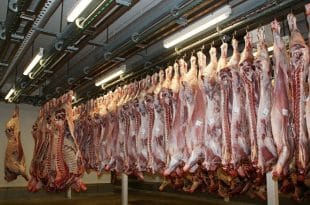 Mozambique imposes partial ban on meat import from South Africa