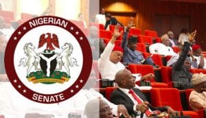 Nigeria: Senate rejects diaspora vote and special seat for women