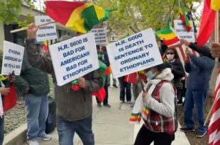Ethiopians demonstrate against possible US sanctions