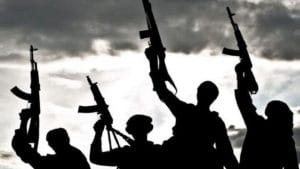 Nigeria: Gunmen kill dozens of vigilantes in Kebbi State