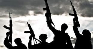 Nigeria: Gunmen kill dozens of vigilantes in Kebbi State