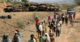 Ethiopia: several killed in ambushes and reprisals - rights body