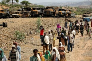 Ethiopia: several killed in ambushes and reprisals - rights body