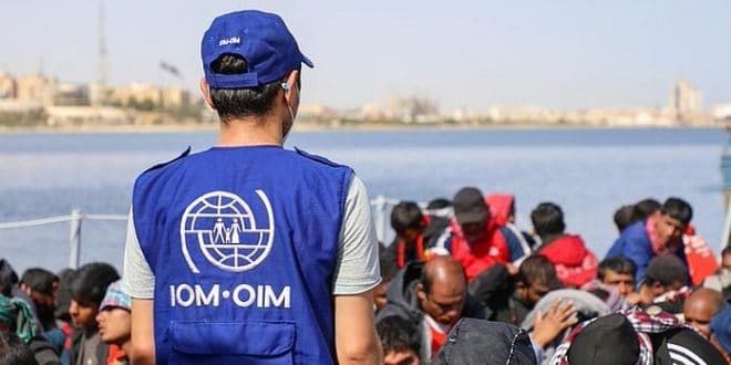 At least 70 migrants dead or missing off Libya in past two weeks - IOM