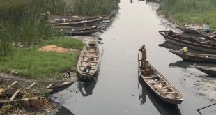 Nigeria: other bodies found in boat capsizing tragedy